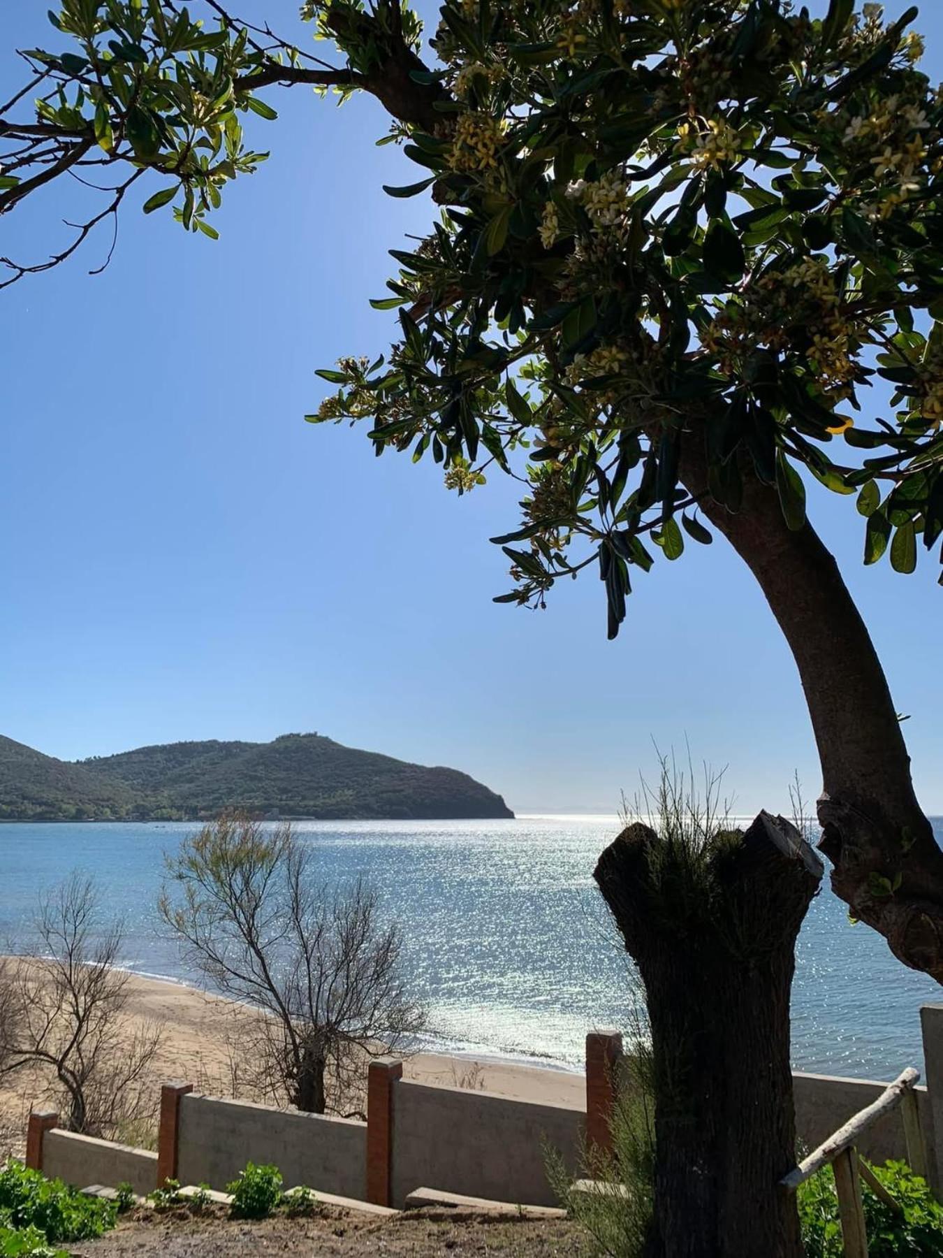 La Casa Di Nonna Ottorina Διαμέρισμα Venturina Terme Εξωτερικό φωτογραφία